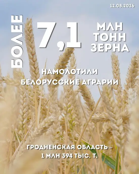 В Беларуси намолотили более 7 млн тонн зерна