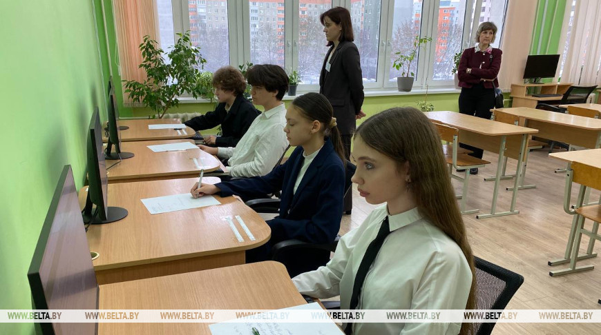 Площадь леса, безопасность в интернете. Учащимся предложили применить знания в конкретных ситуациях