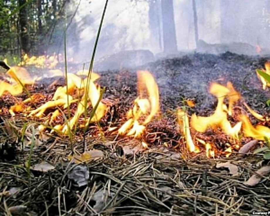 Акция "Весна без пожаров!" проводилась на территории Берестовицкого района