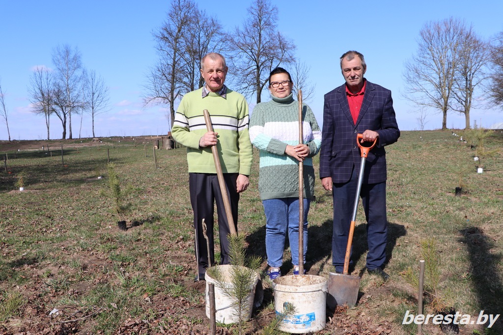 Старому парку – новую жизнь