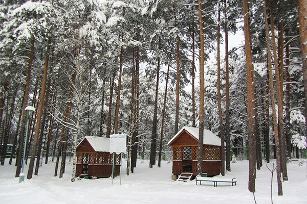 Замки и санатории: топ-5 мест Беларуси обязательных для посещения зимой