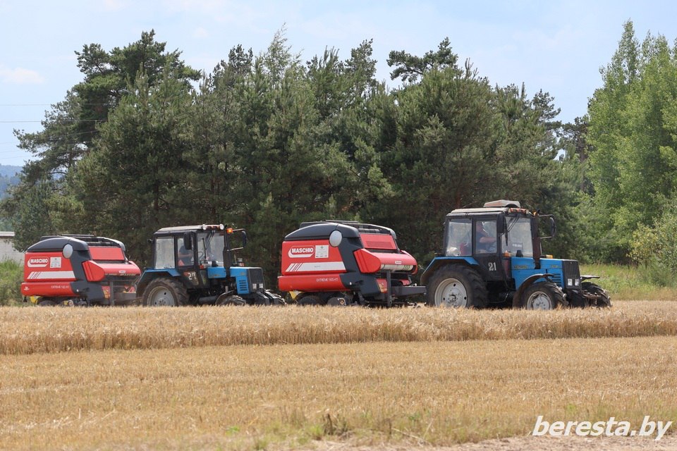 В Беларуси намолотили 2 млн тонн зерна