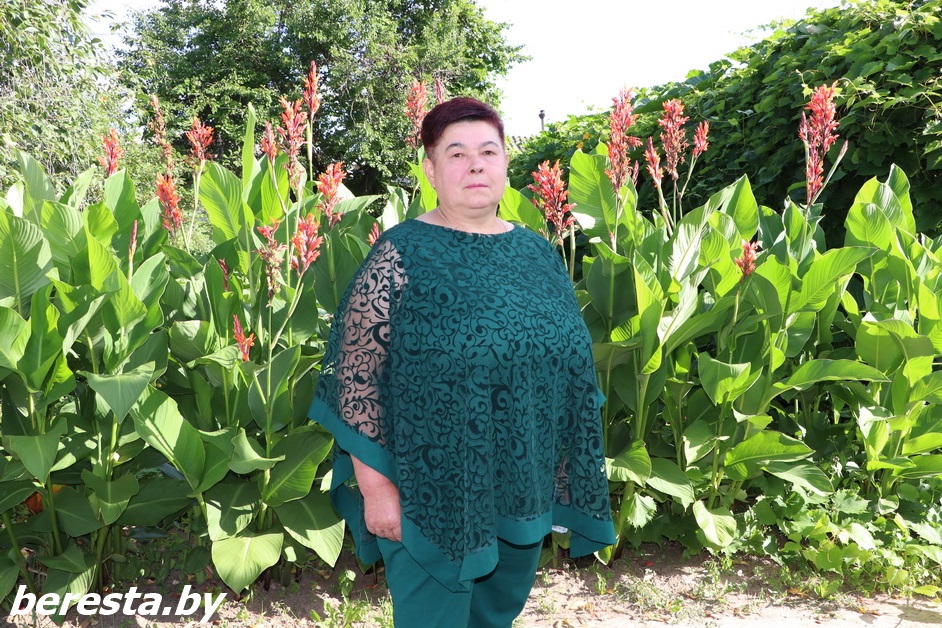 Берестовичанка Анна Шлык более 30 лет отдала животноводческой отрасли