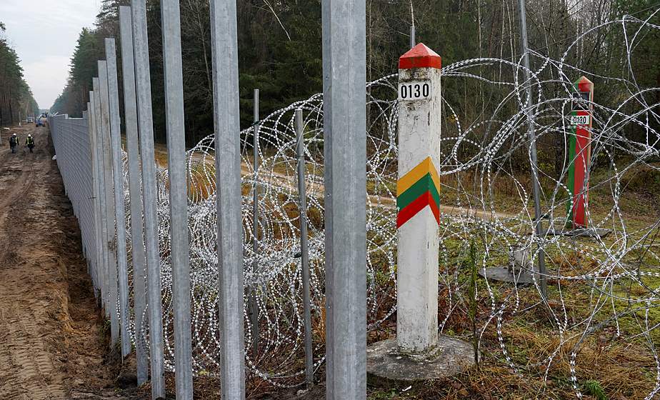 Очередная жертва литовской колючки: на границе обнаружен павший лось