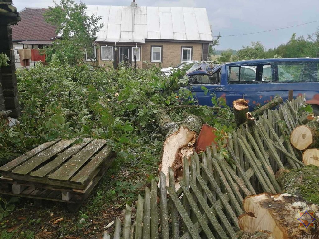 Непогода в Гродненской области: что происходило?