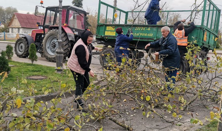 Сотрудники музея Белки в Большой Берестовице приняли участие в субботнике