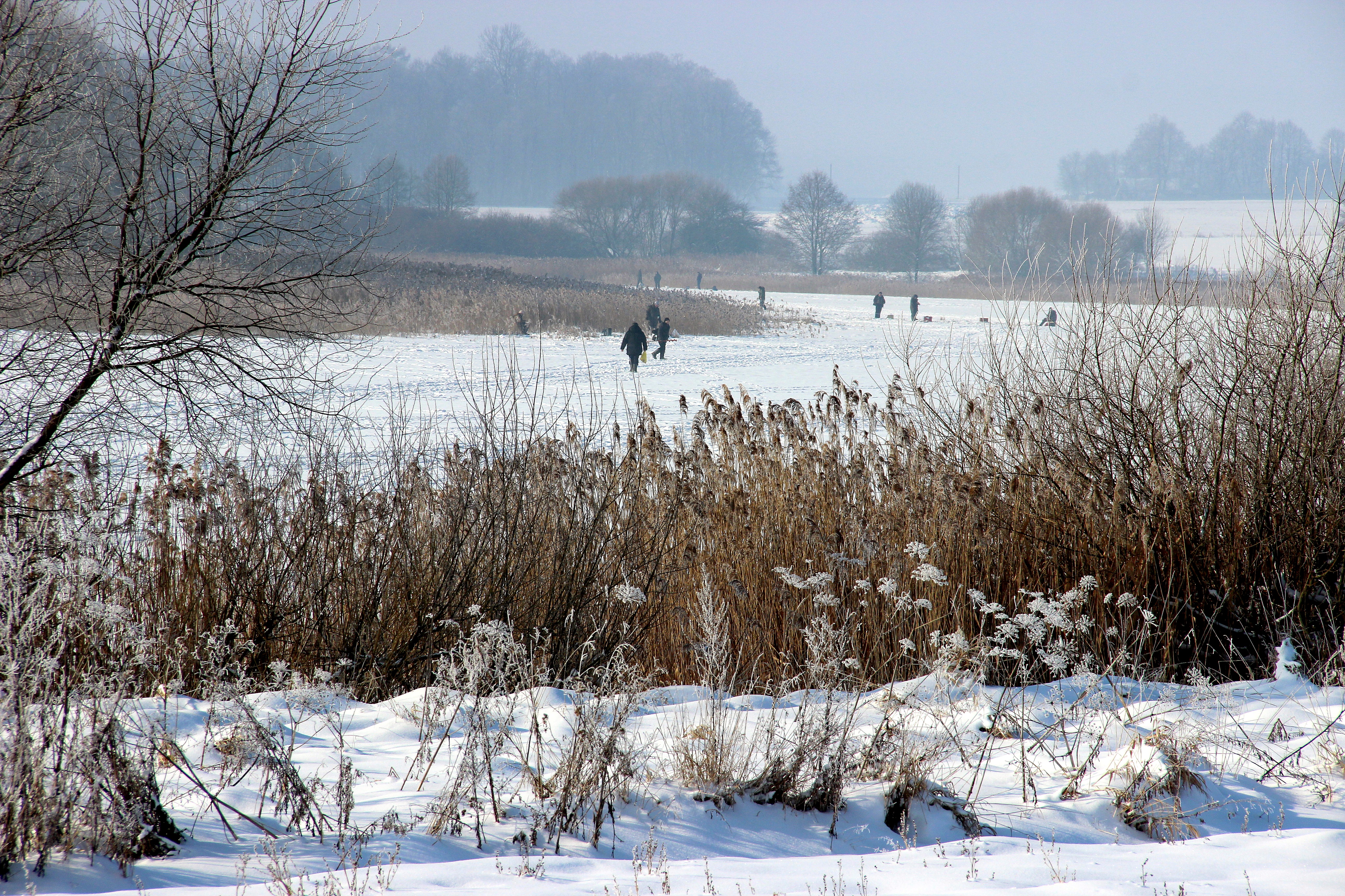 Прошло лично-командное первенство Берестовицкого района по подледному лову рыбы