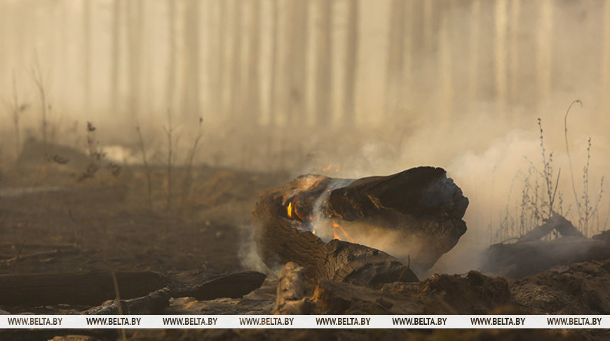 В Беларуси за выходные потушили девять лесных пожаров