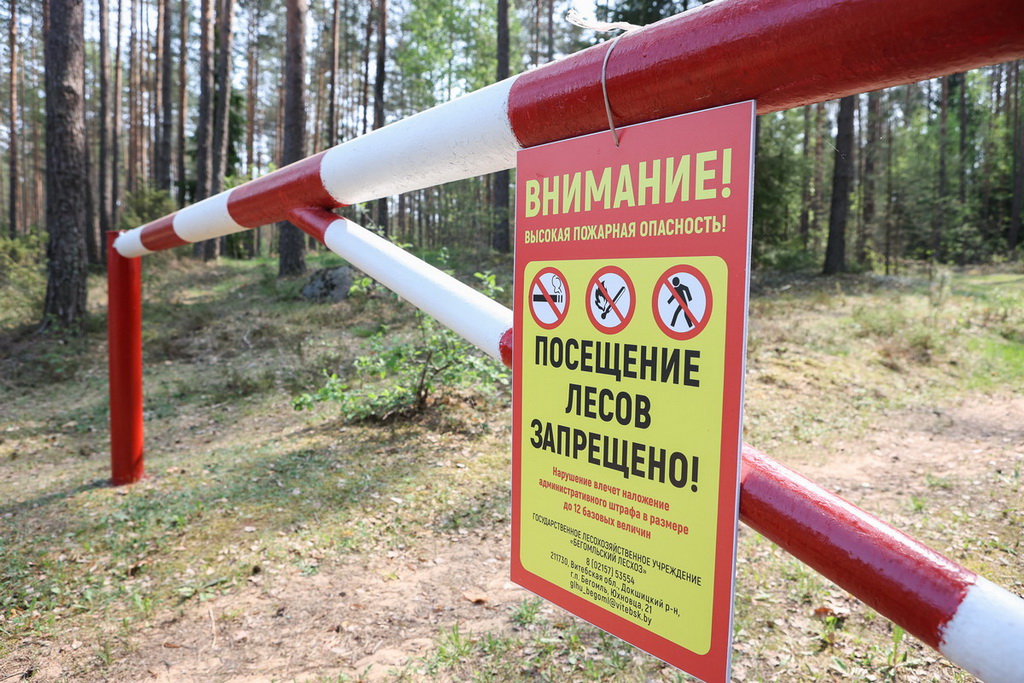 pilrc3tg9pqh8x6yewrczbie4dmsan7n.jpg
