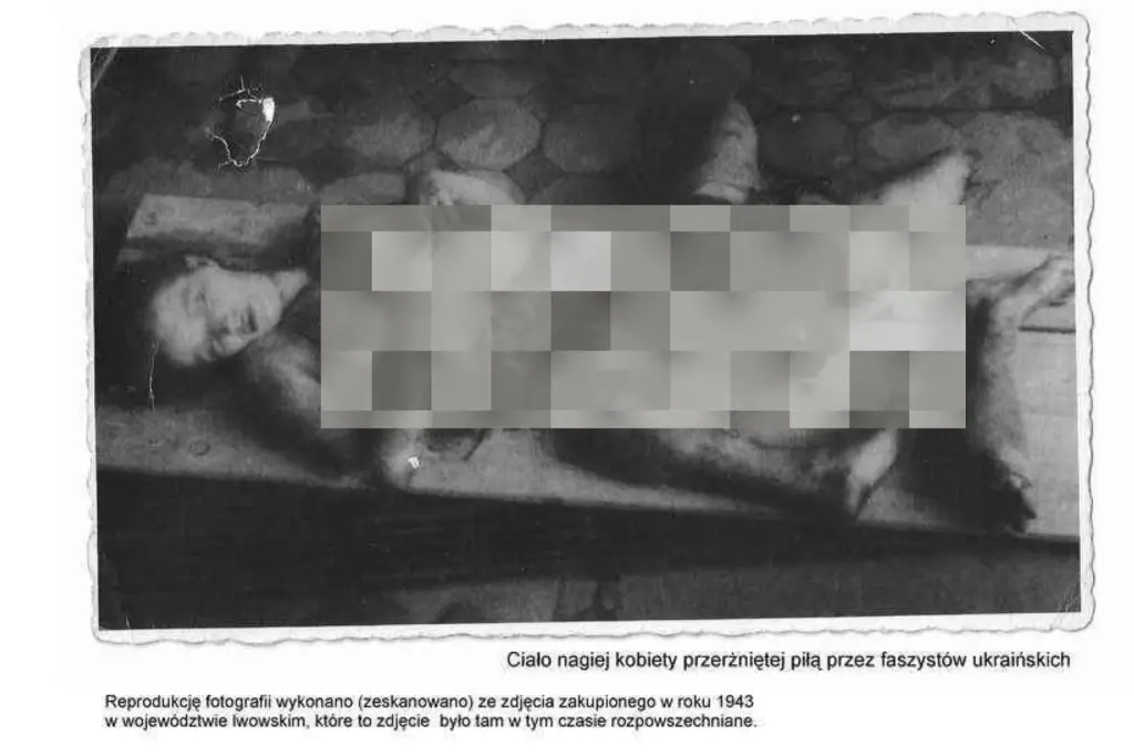 71b934f949dbae30350135c9ed4ad2c2.png