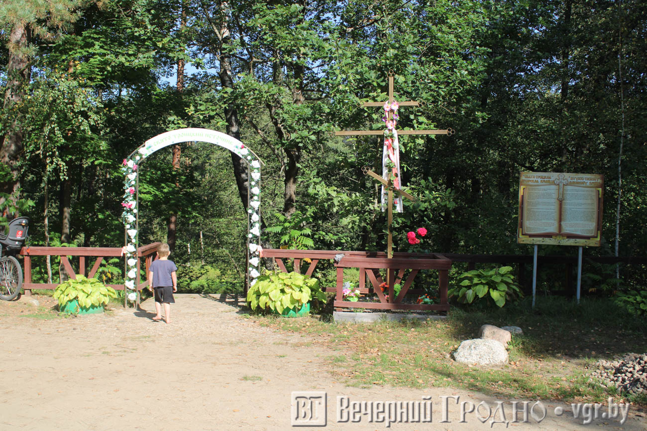 lipichanskaya_pushcha_30.jpg