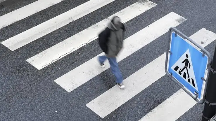 5411374608318929737.jpg