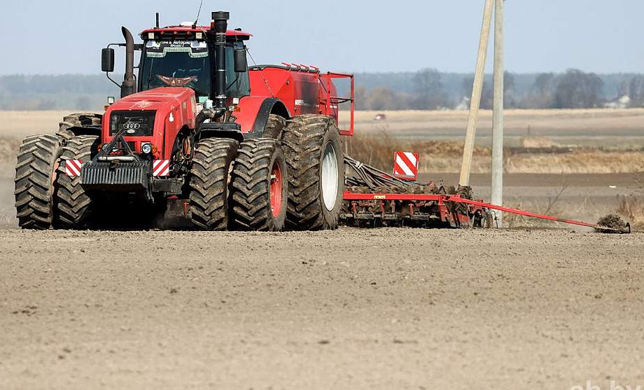 Массовый сев ранних яровых зерновых и зернобобовых культур начался в Беларуси