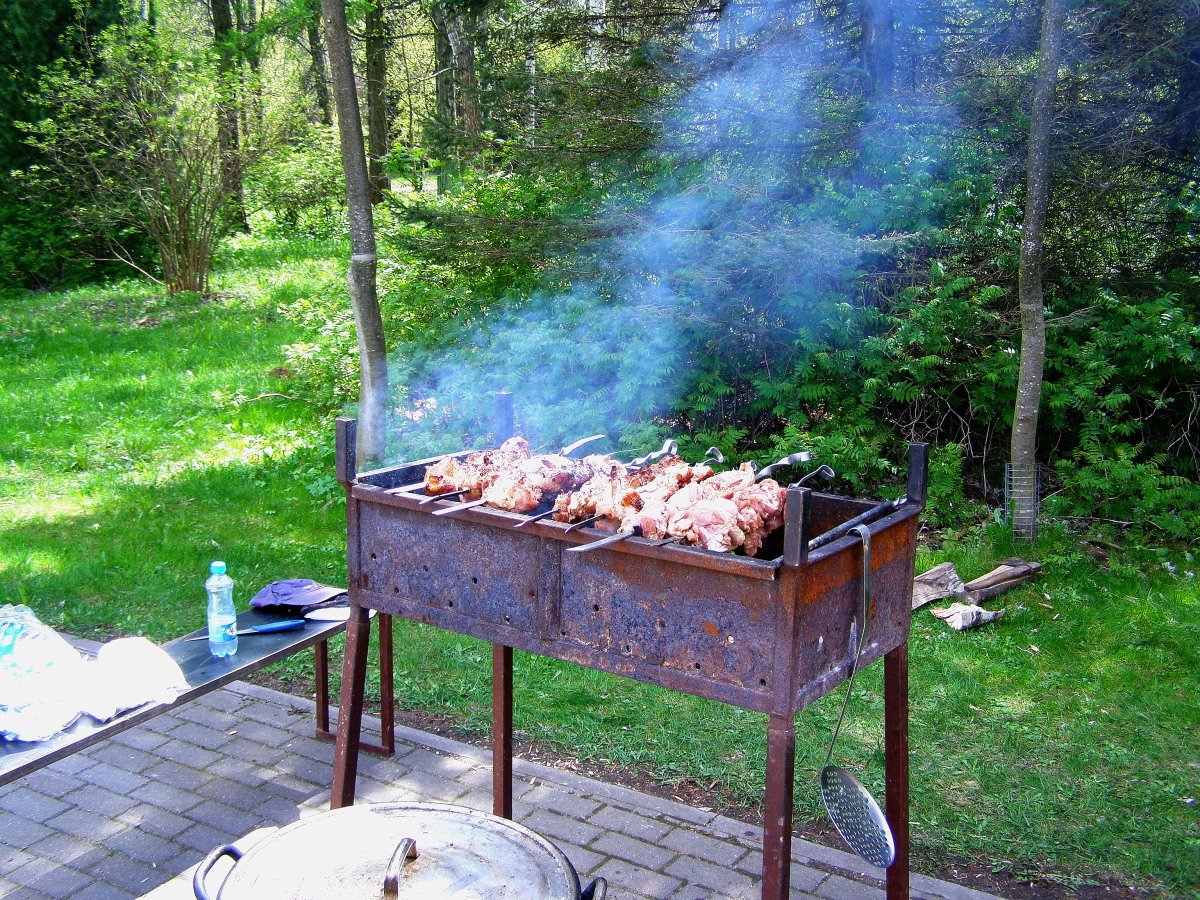 Пикник на фоне пепла: как не превратить отдых на природе в лесной пожар