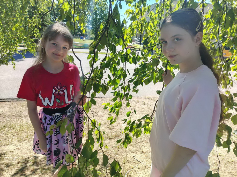 изображение_viber_2026-06-01_11-04-37-730.jpg