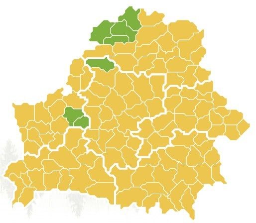 В Беларуси вводятся ограничения на посещение лесов