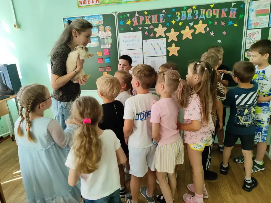 изображение_viber_2026-08-10_19-41-10-041.jpg
