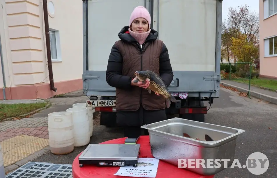 IMG_4567.JPG