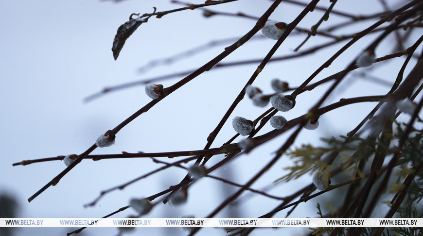 Оранжевый уровень опасности из-за ветра объявлен на 6 апреля в Беларуси