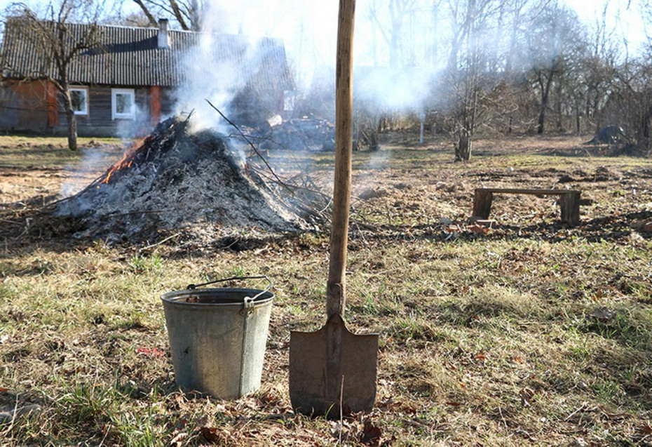 Наведение порядка или беда? Рассказываем, как безопасно навести порядок на своем участке