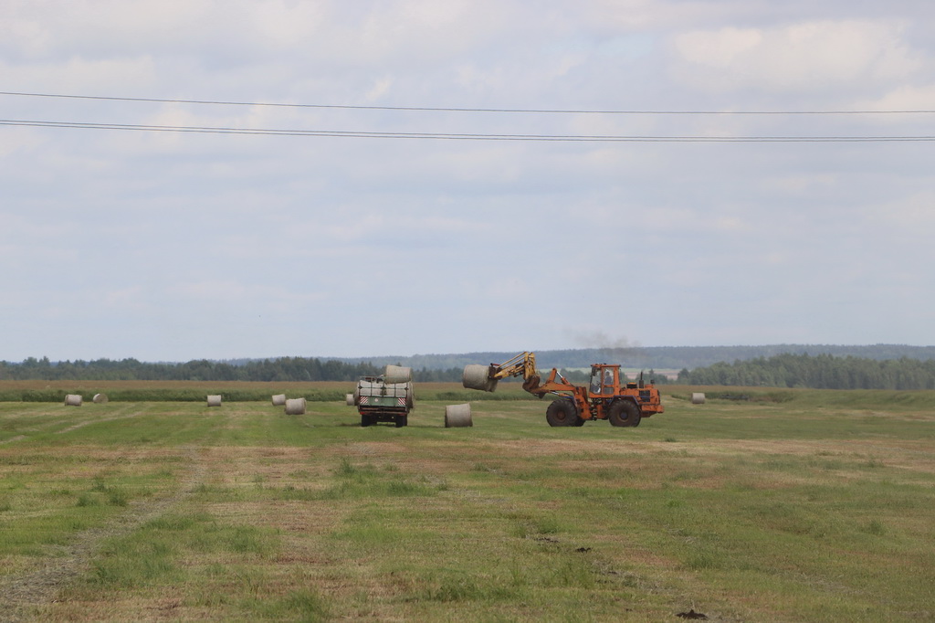 IMG_3212.JPG