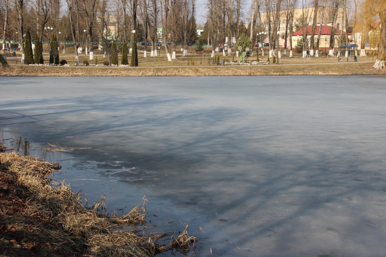 Сотрудники Берестовицкого РОЧС спасли оказавшуюся на льду собаку