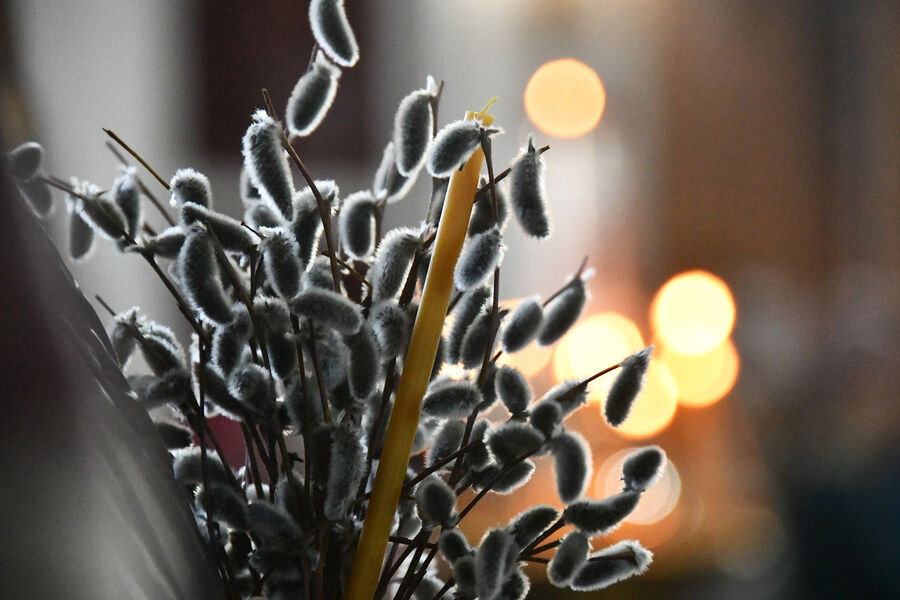 Католические верующие отмечают Вербное воскресенье