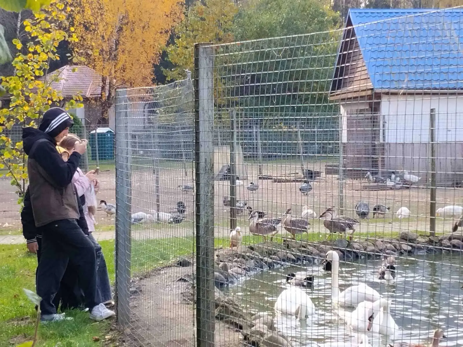 изображение_viber_2026-10-19_15-20-20-149.jpg