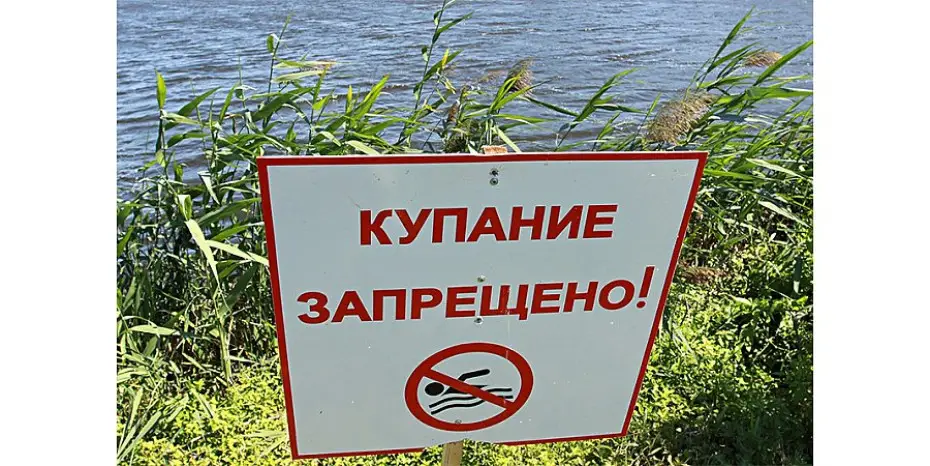 042331_246335_big.jpg