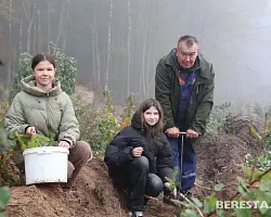 Важные уроки заботы. На Берестовитчине стартовала акция «Дай лесу новае жыццё!»