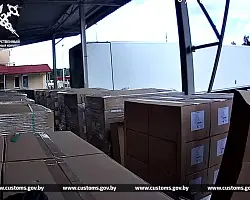При ввозе партии лекарств польский перевозчик пытался сэкономить на таможенных платежах