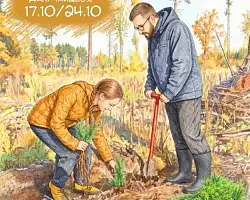 Берестовичане могут посадить свое дерево в рамках акции «Дай лесу новае жыццё!»