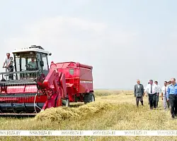 Александр Лукашенко: "Кто не нюхал этого хлеба, тот никогда не поймет, что надо иметь свое". Как Беларусь обеспечивает свою продбезопасность
