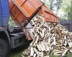 Тепло с заботой в каждый дом: где и почем купить дрова, как их заказать онлайн на Берестовитчине