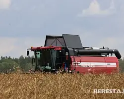Белорусские аграрии намолотили 2 млн тонн зерна