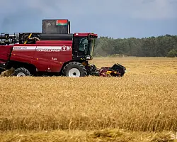 Аграрии Беларуси намолотили первый миллион тонн зерна нового урожая