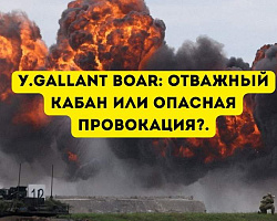 «Отважный кабан» на грани безумия: зачем НАТО превращает Сувалкский коридор в пороховую бочку