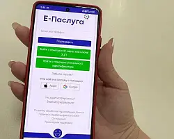 Какие электронные услуги доступны владельцам транспортам
