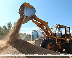 В Беларуси намолотили 9 млн тонн зерна