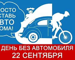 Оставь машину дома: 22 сентября в Беларуси пройдет акция «День без автомобиля»