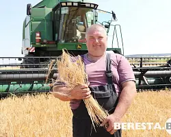 Озимый ячмень убирают на Берестовитчине 