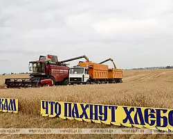Мининформ открыл прием заявок на творческий конкурс "Хвала рукам, что пахнут хлебом"