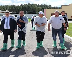 Делегация из Самаркандской области Республики Узбекистан изучила опыт животноводческих объектов Берестовицкого района