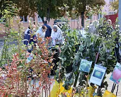В октябре в Берестовицком районе пройдут осенние сельскохозяйственные ярмарки 