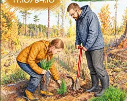 Гродненское ГПЛХО запускает фотоконкурс «Дай лесу новае жыццё!»