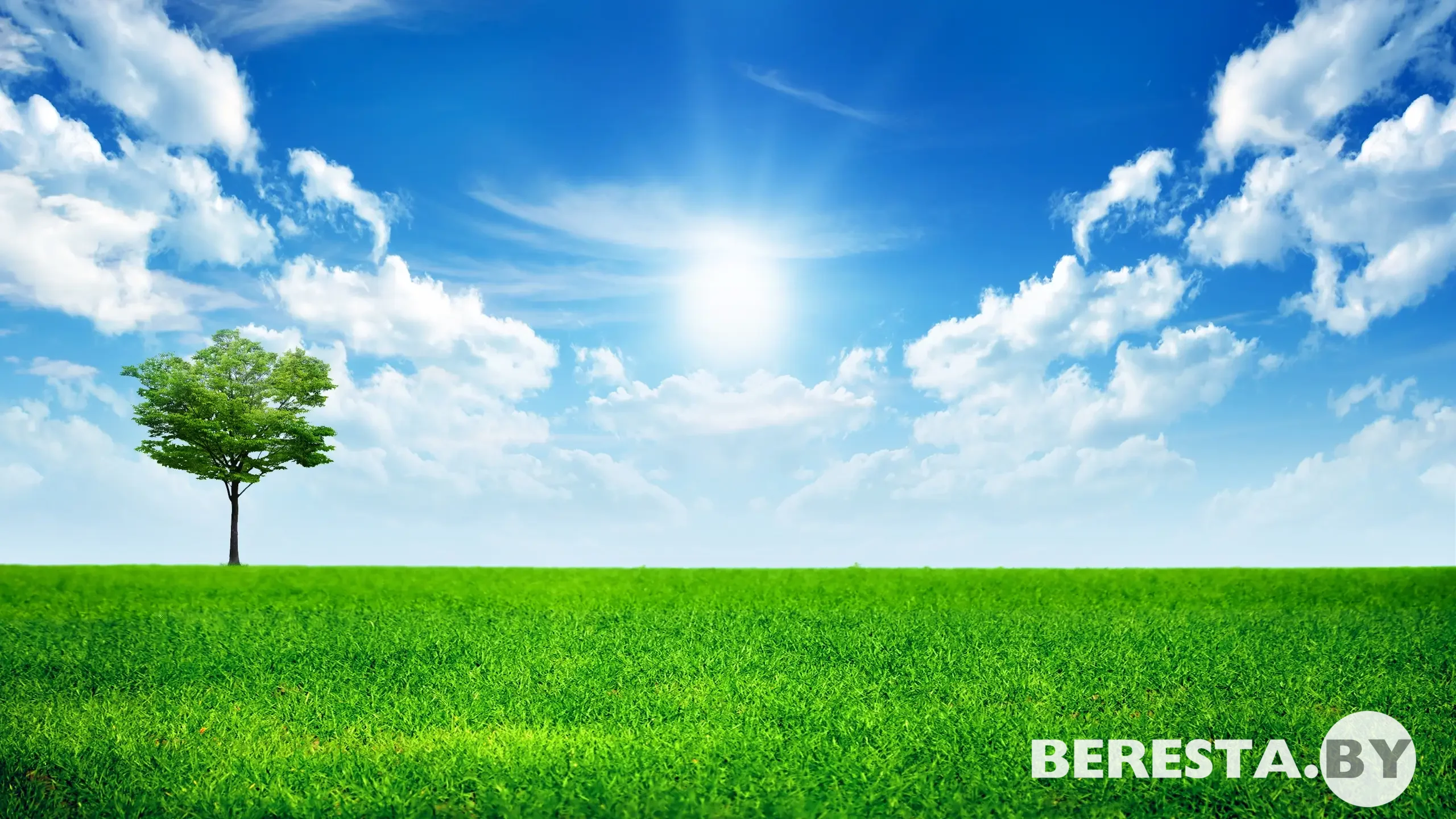 test23232