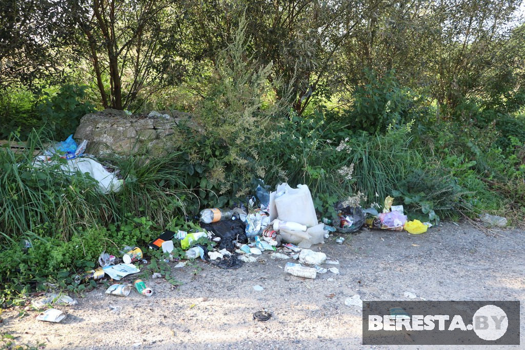 Сделаем нашу Берестовитчину чище и уютнее! 