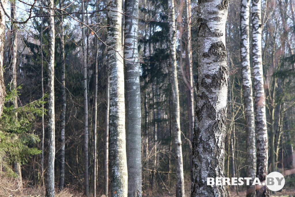 IMG_4012.JPG IMG_4012.JPG