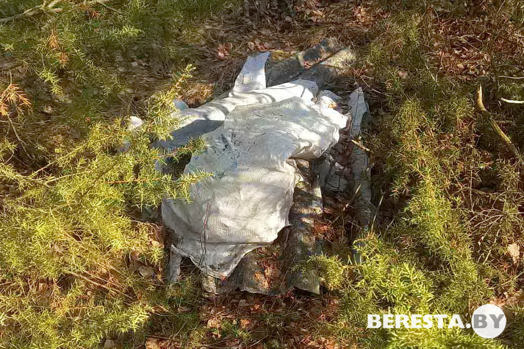 кваторы1.jpg кваторы1.jpg