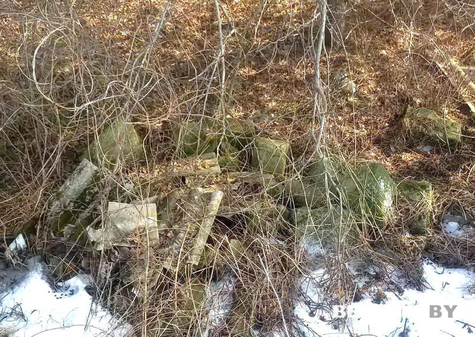 кваторы2.jpg кваторы2.jpg